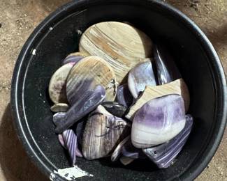 Polished Purple Clam Shells