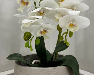 Faux Orchid Arrangement