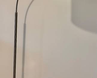 Modern Chrome Floor Lamp