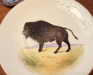 Porcelain Plate with Bison Illustration by James Lockhart for The Ghent Collection