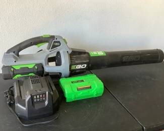 Go Power Plus Blower with Charger Two Batteries