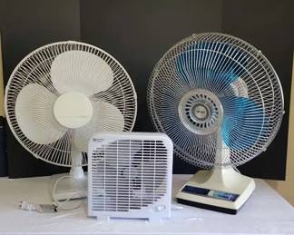 Oscillating Fans