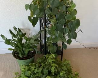 Three Plants With Small Metal Plant Stand