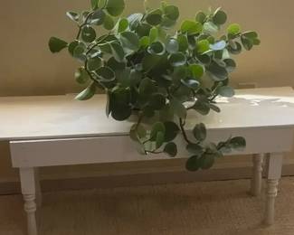 One Indoor Plant With Bench Stand