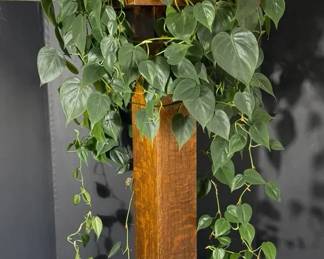 Large Plant With Wooden Stand Base