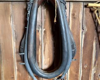 Horse yoke 