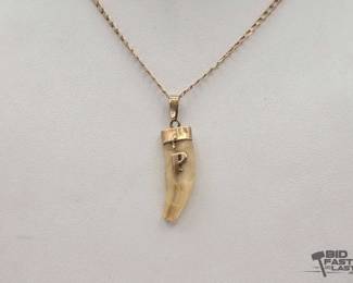 722  14kt Gold Necklace with Tooth Pendant, 5g 