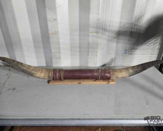5158  Wall Mounted Bull Horns 