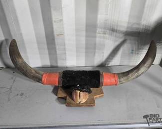 5160  Wall Mounted Buffalo Horns  Hoof 