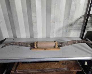 5156  Wall Mounted Bull Horns 