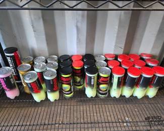 4020  Penn amp Gamma Tennis Balls 
