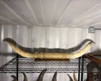 5152  Wall Mounted Long Horns 