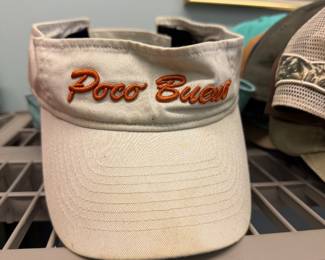 Embroidered visors