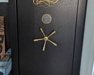 Cannon gun safe