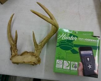 Antlers