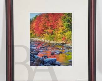 TOM TILL PHOTOGRAPHY