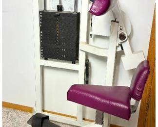  Cybex Eagle Abdominal Machine