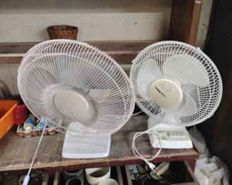 FOR SALE TILL 12:45, FREE IF NOT SOLD AT 1pm