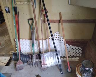 FOR SALE TILL 12:45, FREE IF NOT SOLD AT 1pm