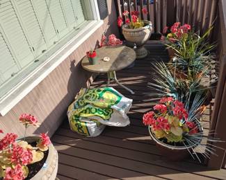 FOR SALE TILL 12:45, FREE IF NOT SOLD AT 1pm