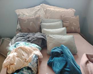 FOR SALE TILL 12:45, FREE IF NOT SOLD AT 1pm