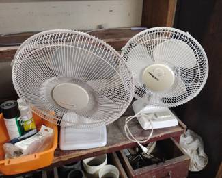 FOR SALE TILL 12:45, FREE IF NOT SOLD AT 1pm