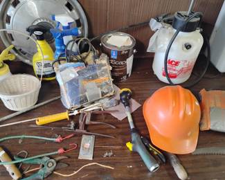 FOR SALE TILL 12:45, FREE IF NOT SOLD AT 1pm