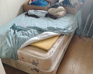 FOR SALE TILL 12:45, FREE IF NOT SOLD AT 1pm