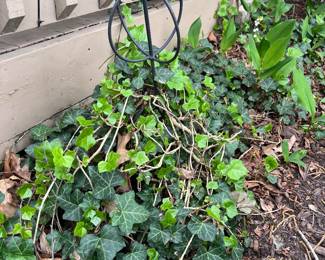 Outdoor Decor