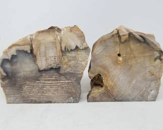 Pair of petrified wood slabs