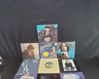 Ten vinyl LP records, James Taylor, Steel Dan, Gary Wright and others