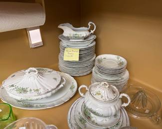 Haviland China- Bavaria 