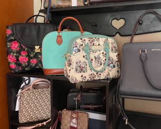 Designer handbags purses coach Michael Kors Dooney & Bourke Lounge Fly Vera Bradley DKNY Betsy Johnston 