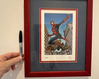 Spiderman signed comic book art 