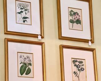 Vintage Botanicals