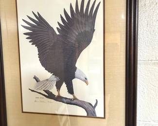 Glenn Wilson eagle print 