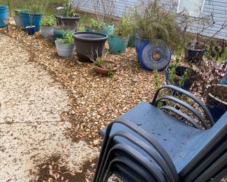 Plants and patio tables 