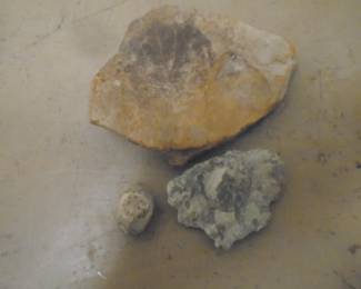 fossils