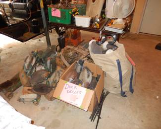 Goose and duck decoys, Muskrat and gopher traps in green bin