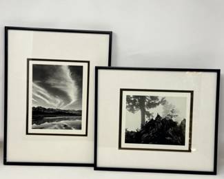 267 2BlackandWhiteFramedNaturePhotographs