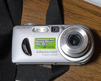 Sony Cyber-shot DSC-P10 Digital Camera