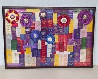 Framed Collection of Award Ribbons