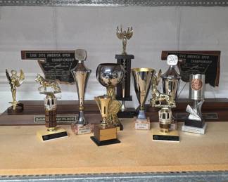 DVG Trophies and Awards