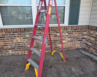 Werner 6 Ft Fiberglass Ladder