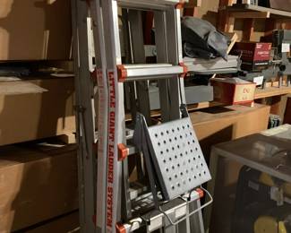 extension  & Little Giant ladders