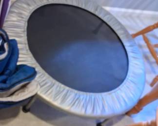 mini trampoline, often referred to as a rebounder, used for low-impact cardio exercises at home. 