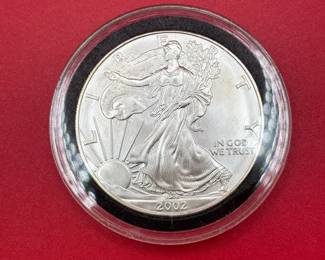 2002 Walking Liberty 1oz .999 Silver Round