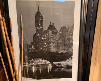 New York Central Park Picture