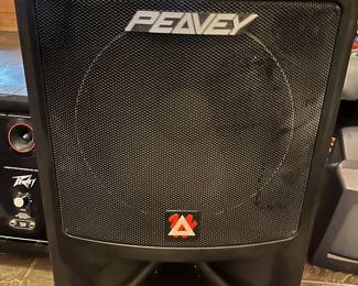 One of two Peavey Impulse 500 speakers..