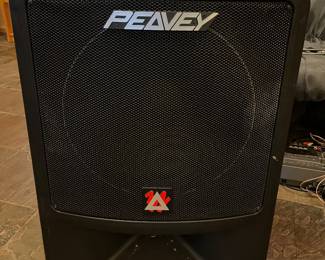 One of two Peavey Impulse 500 speakers..